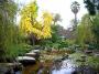 Adelaide Himeji Japanese Garden